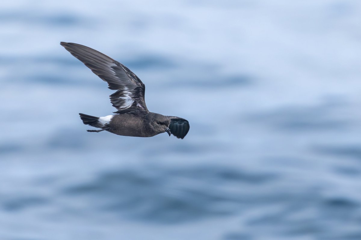 dunbar44's tweet image. A few days spent in west Cork,