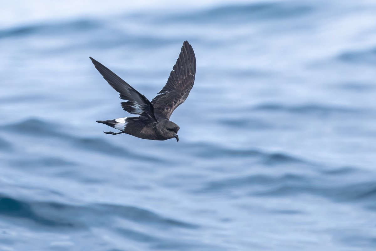 dunbar44's tweet image. A few days spent in west Cork,