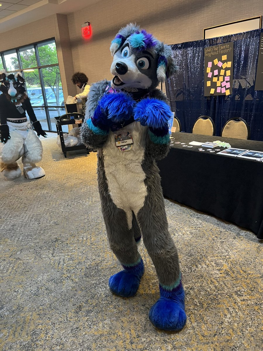 StrayBlazer's tweet image. meeting @TaebynPup again from con awhile back years ago! #Furlandia2025