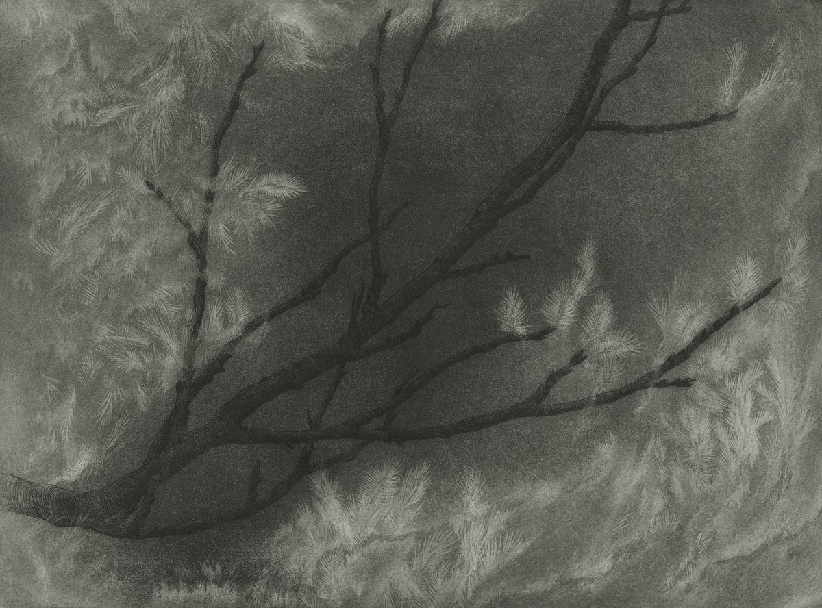 Winterreise - Frühlingstraum