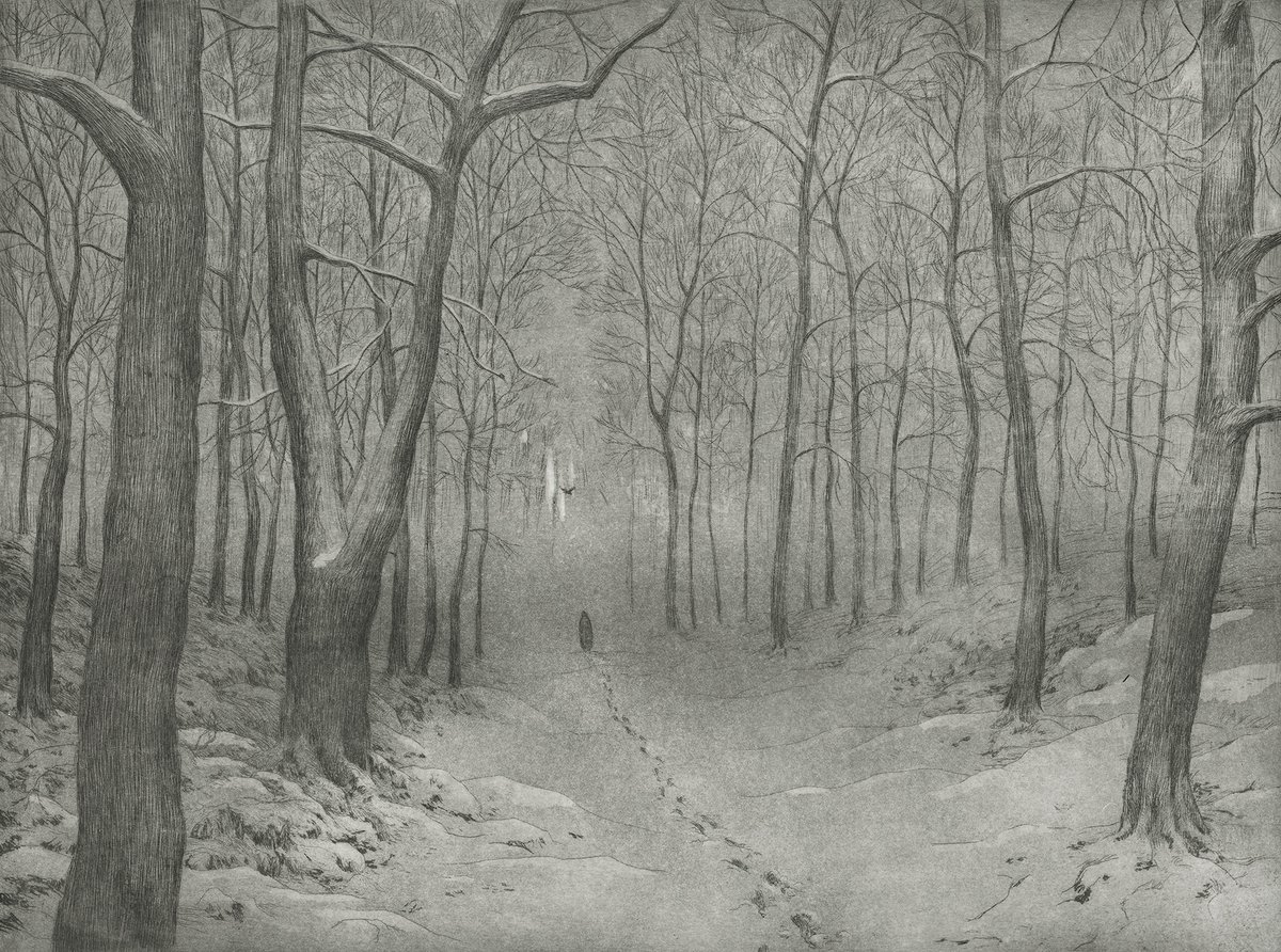 Winterreise - Die Krähe