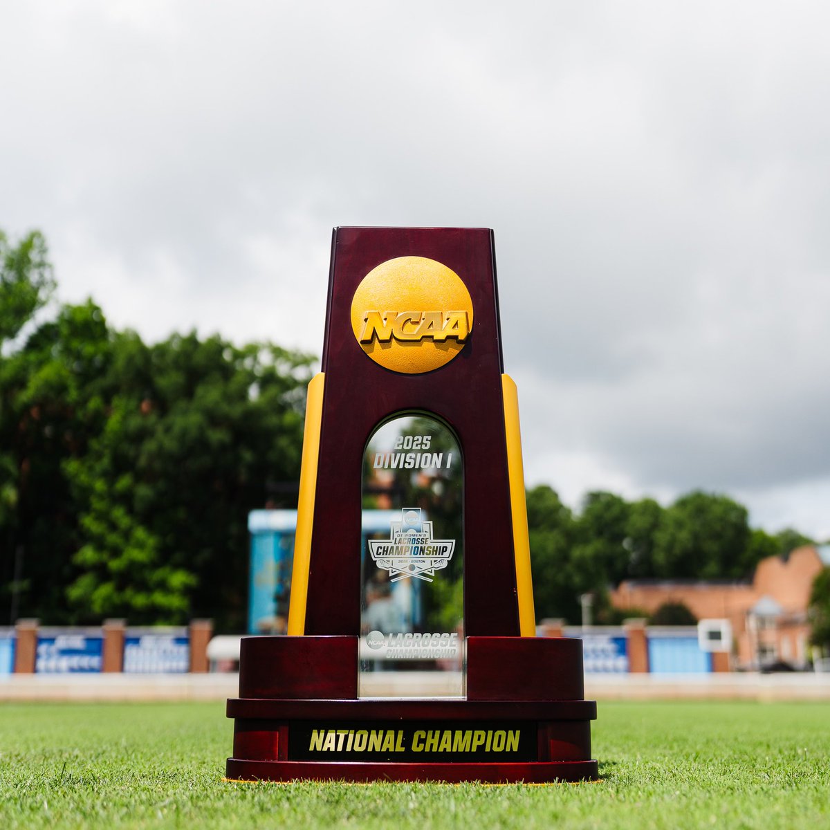 uncwlax's tweet image. Back Home 🏡