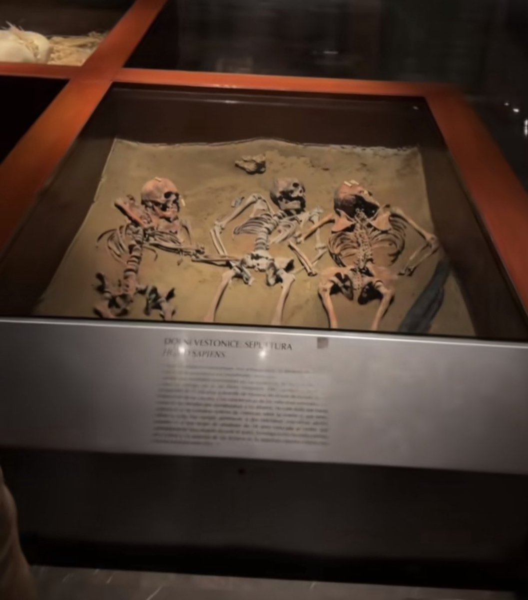 SCREAMIN’ FOR ME BABY