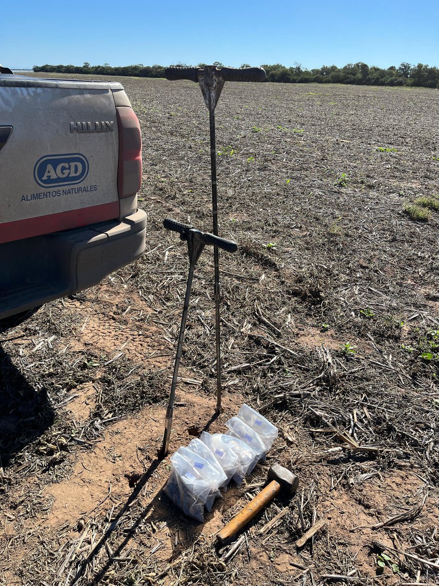 AGD TUCUMÁN tweet media