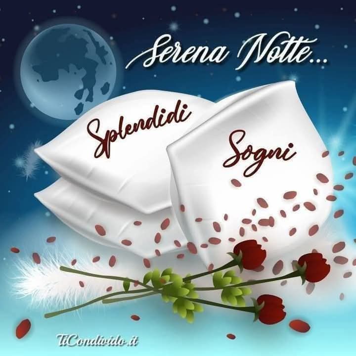 <a href="/RobertaDalPra/">Roberta Dal Pra</a> <a href="/mi_oro13/">Ilary ღ</a> <a href="/Sensibility_6/">~Bianca~</a> <a href="/bralella09/">Graziella Bracchi</a> <a href="/DavLucia/">lucia davi</a> <a href="/NickyGyjjj/">NickyGyjj 🎗🧡</a> <a href="/Rebeka80721106/">Rebeka</a> <a href="/Vitality1978/">Silvia💞</a> <a href="/Sellitti_MR/">Rosy ✿.•*¨*❥ ¸¸.•° ꕤ</a> <a href="/f_girasole/">𝕱𝖊𝖉𝖊𝖗𝖎𝖈𝖆 🐺🦉🦊🐦‍⬛🐽</a> <a href="/patuc12/">Paola T.</a> <a href="/scastaldi9/">Kalika</a> <a href="/SimonaMascaro64/">@SimonaMascaro64</a> <a href="/Mercurimc/">mariac mercuri</a> <a href="/AnnaRDelorenzo/">Anna ❤ De Lorenzo</a> <a href="/AnnaShi60491189/">Anna Shirley</a> <a href="/MaraBussani/">Bussani mara</a>