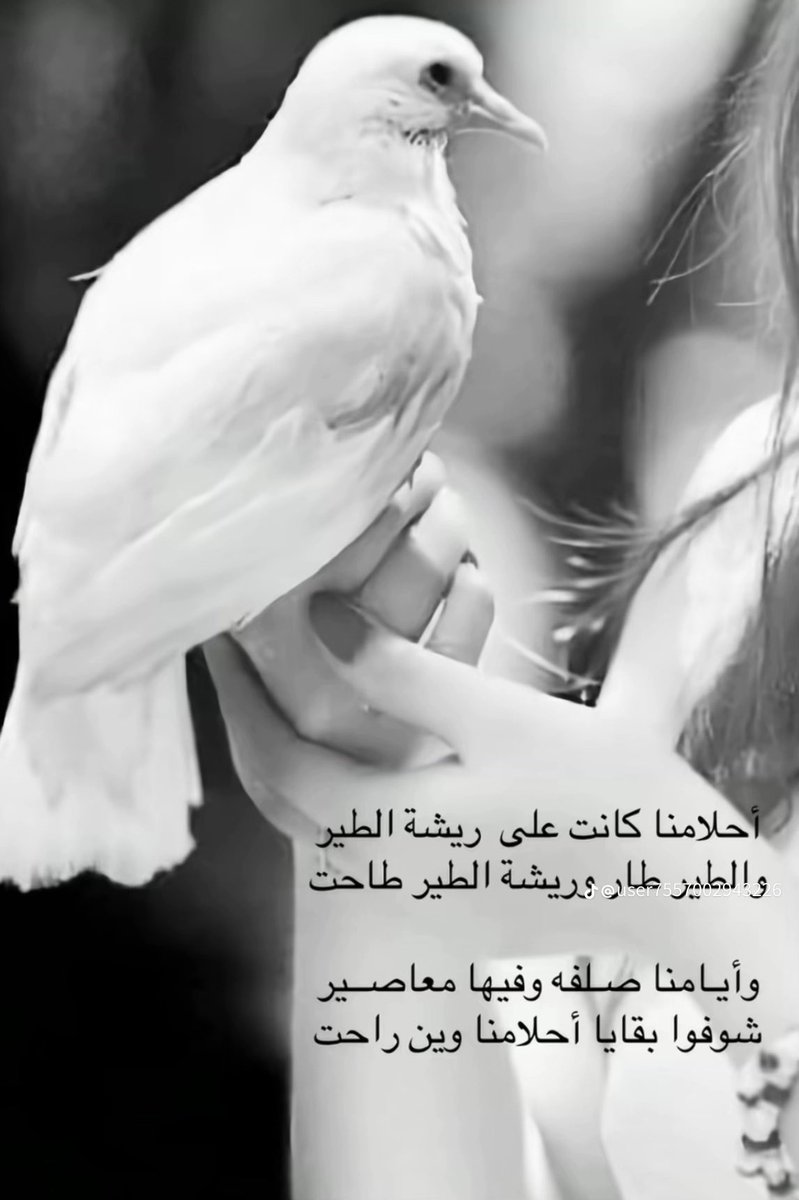 الأميره 🇸🇦أم سلمان ❤️ (@gzil2018) on Twitter photo 