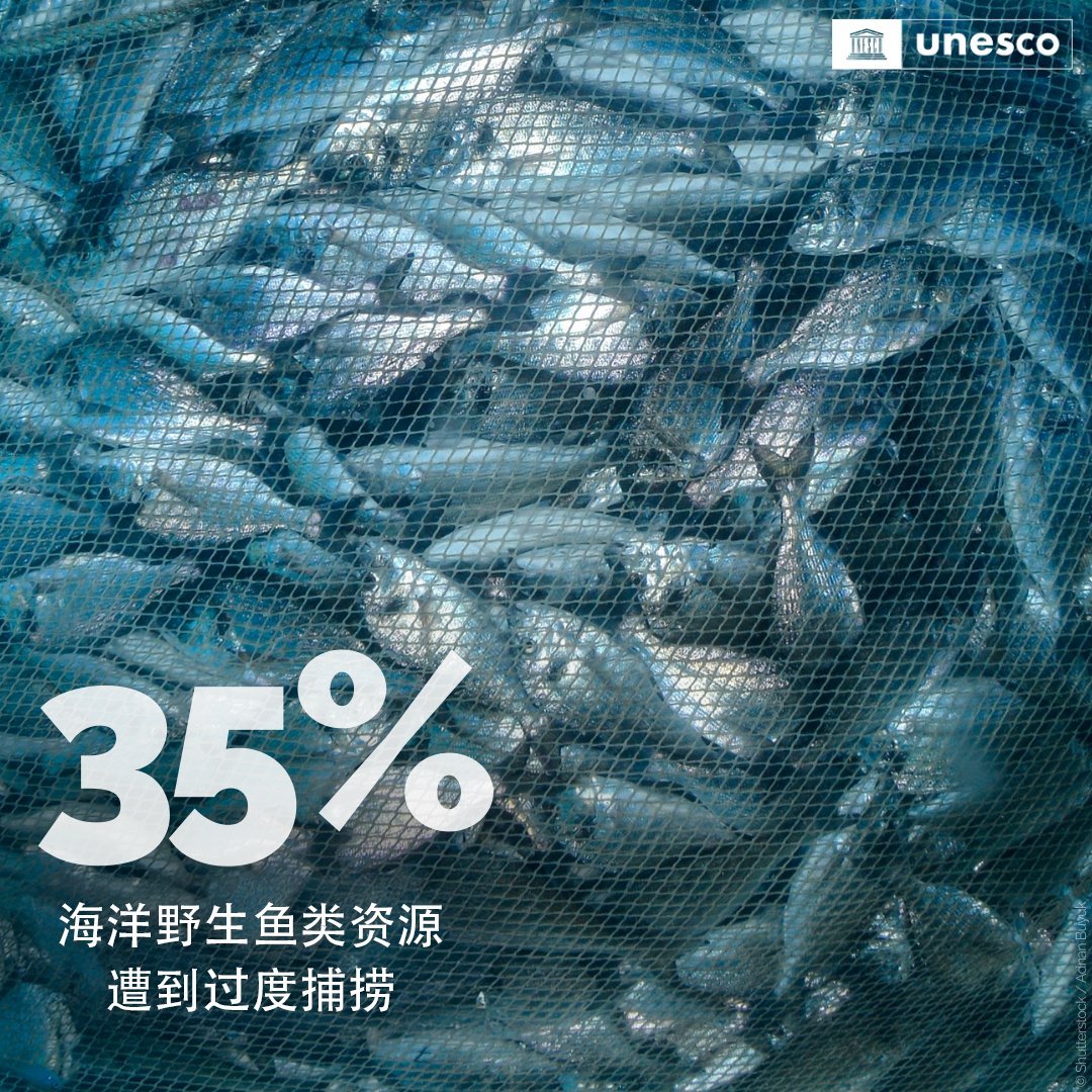 钓大鱼虽好，但在禁捕区可不行哦❌

对资源的过度开发和使用，会对自然环境造成难以挽回的伤害。要维系健康的海洋生态，科学地开发海洋至关重要➡️ unesco.org/zh/biodiversity

#保护海洋 #生物多样性
