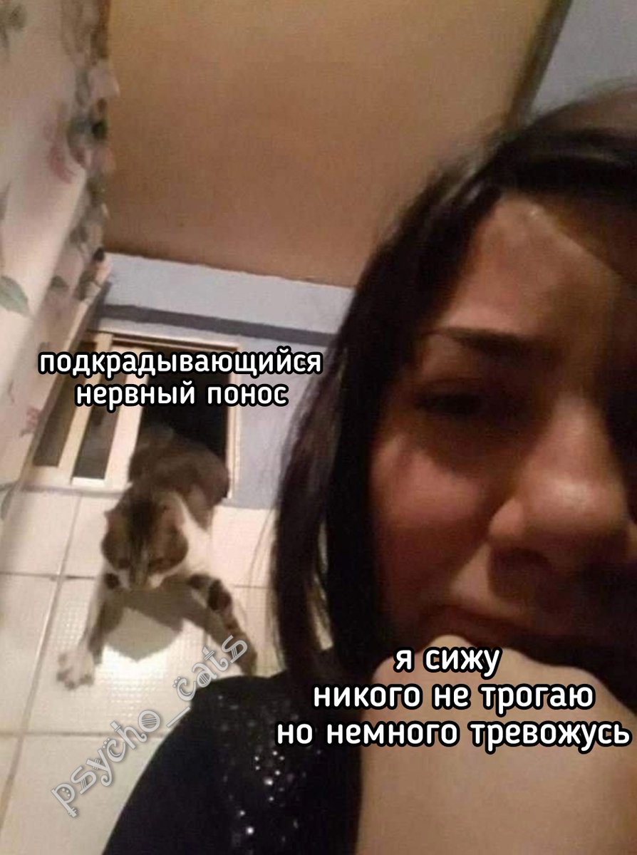 psycho__cats's tweet photo. https://t.co/yu4Im5SjBC