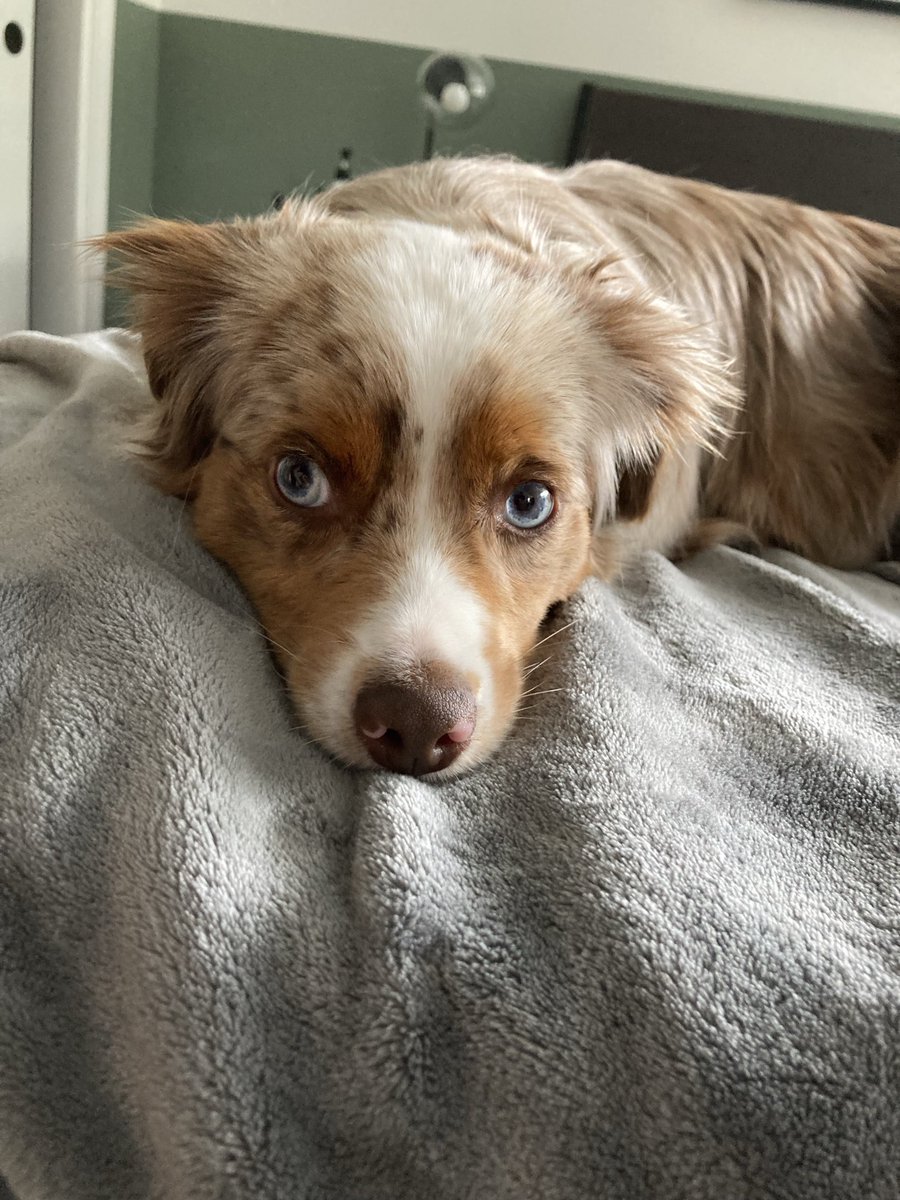 Adam Blacker (@adamblacker25) on Twitter photo 