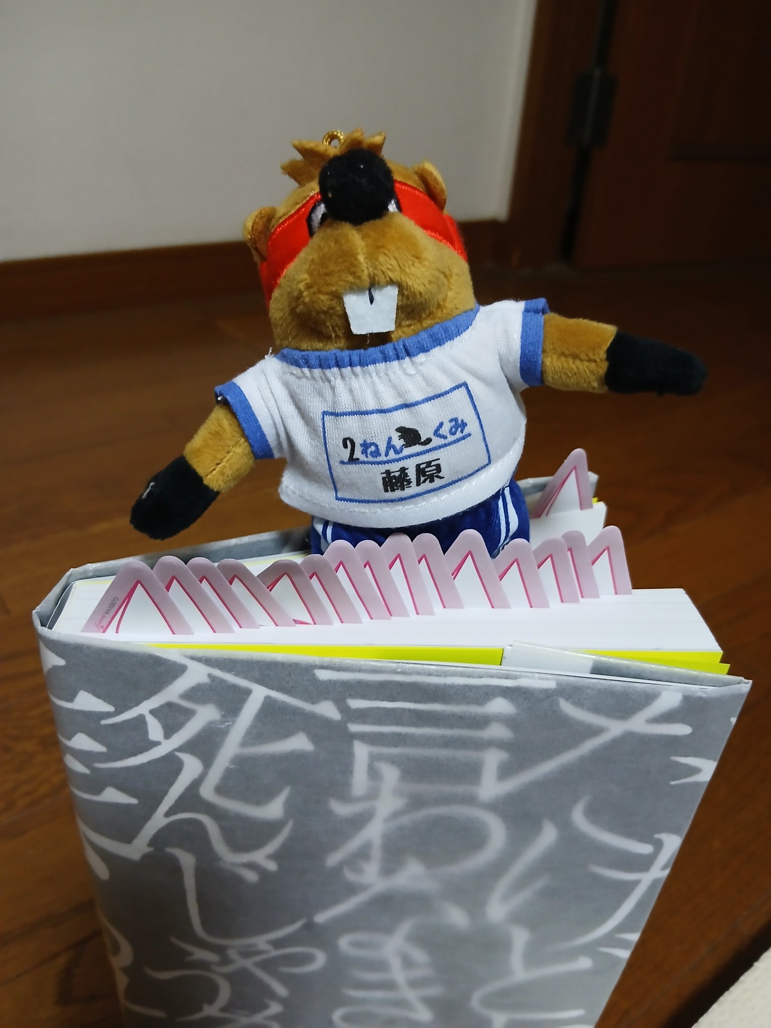 【非売品】SUPERBEAVER ファンクラブ限定　藤原広明　タペストリー SUPER BEAVER on X: 