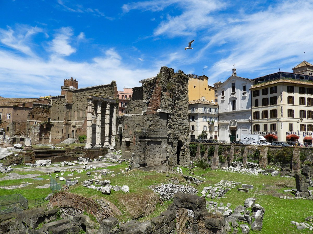Fede_ebasta's tweet photo. Tra le rovine del vecchio impero

#Roma #Rome #romamor #travelphotography
#lemiefoto #31maggio https://t.co/qYR87JJW8S