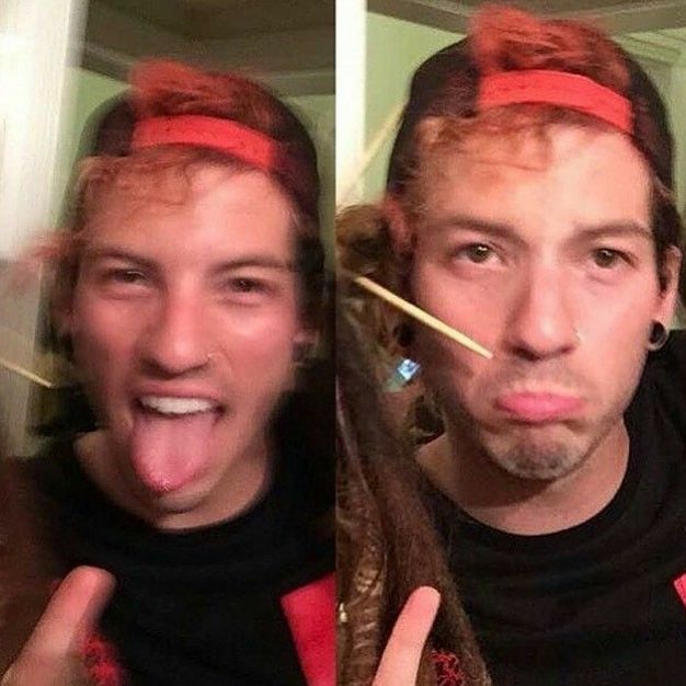 𐂯 (@dailypupjosh) on Twitter photo 