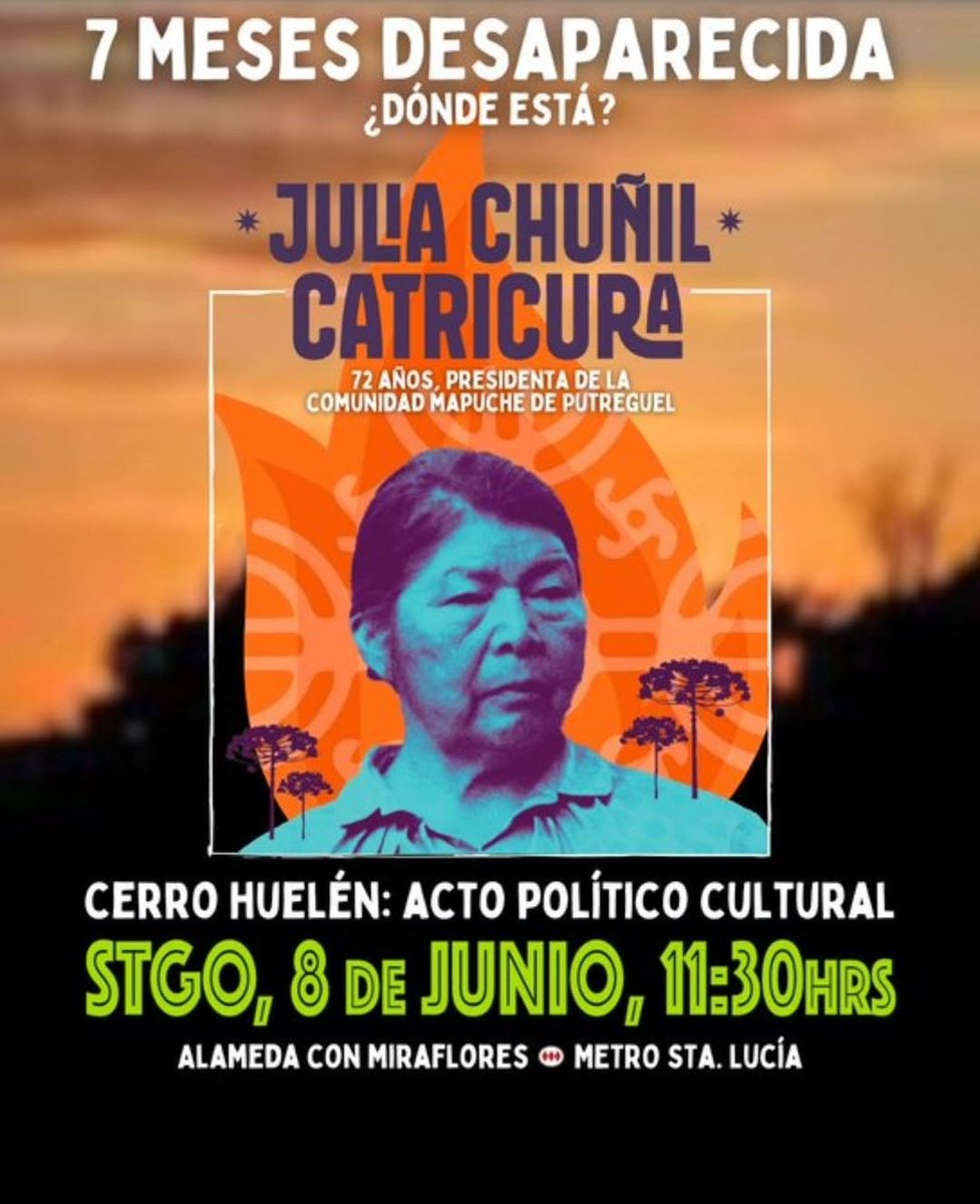 #DondeEstaJuliaChuñil
8 junio
11:30 HRS
Metro Sta. Lucía