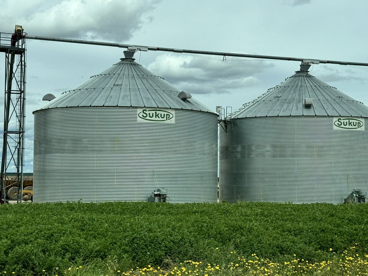 livinmortician's tweet image. #suckup!