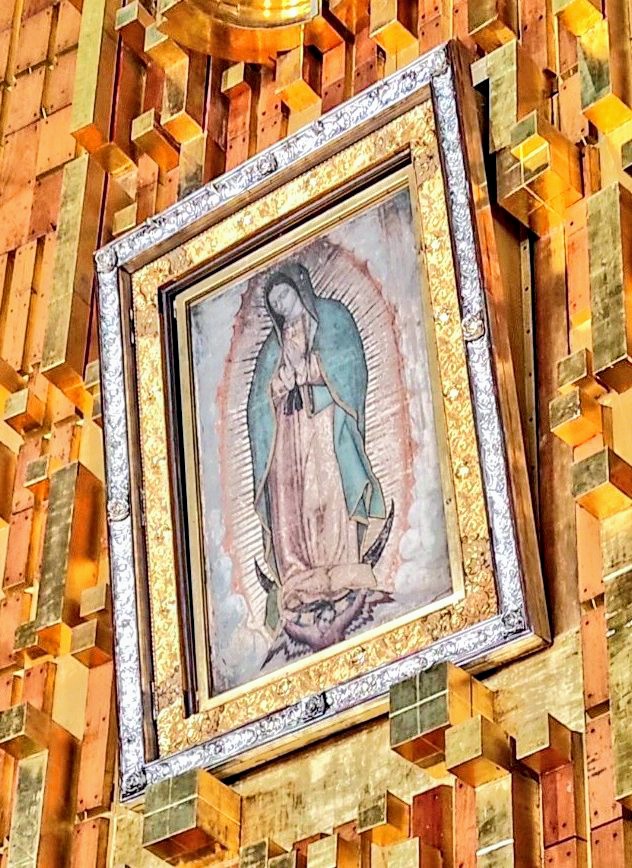 FE y más FE tweet media