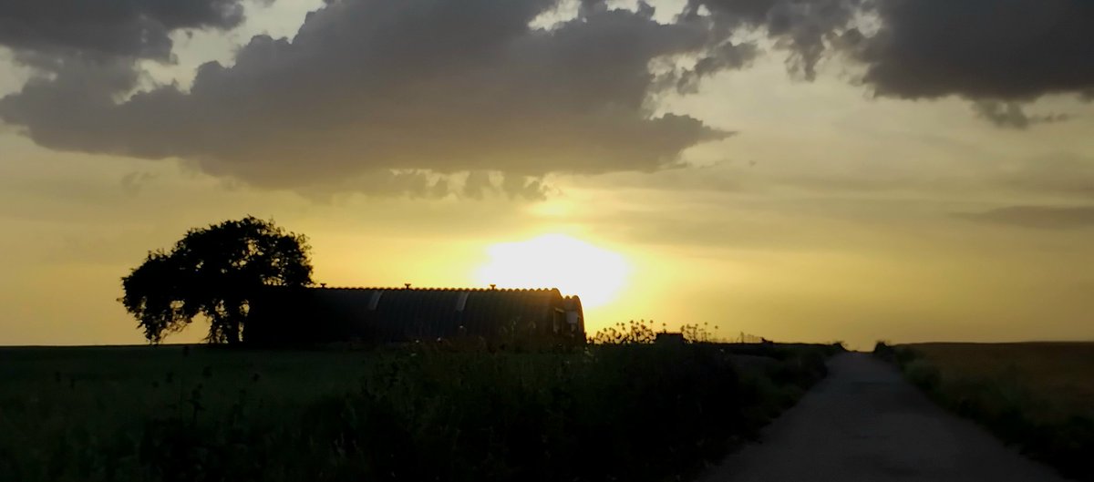 SonsoZatarain's tweet photo. "El campo es una de las pocas oportunidades que aún restan para huir."
#MiguelDelibes🪶
 Campiña
La Tarde, de tarde en tarde...
#AtardeceQueNoEsPoco
#Totakeawalk 🦯
🚶‍♀️🥾🦯🌾🦋🐝🪻🌄🌌 https://t.co/NDgcsjvqqG