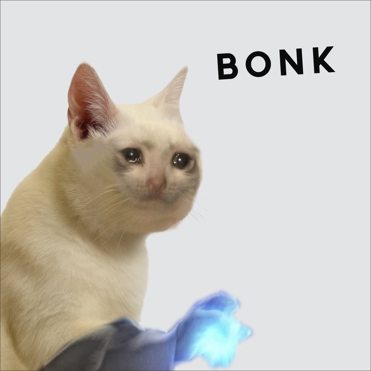 May the BONK be wif you