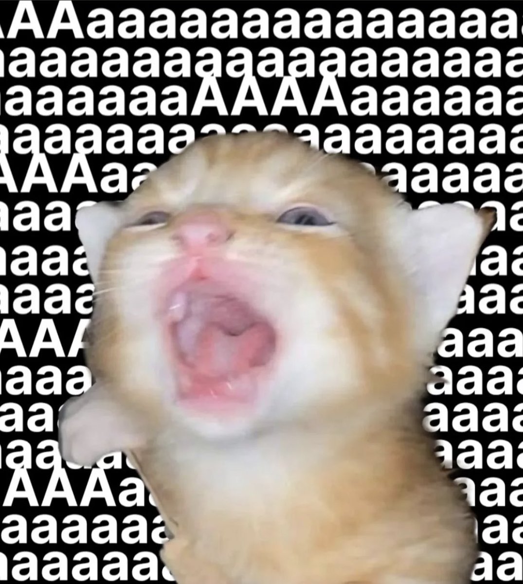 gatos fazendo gatices (@gatinarios) on Twitter photo 