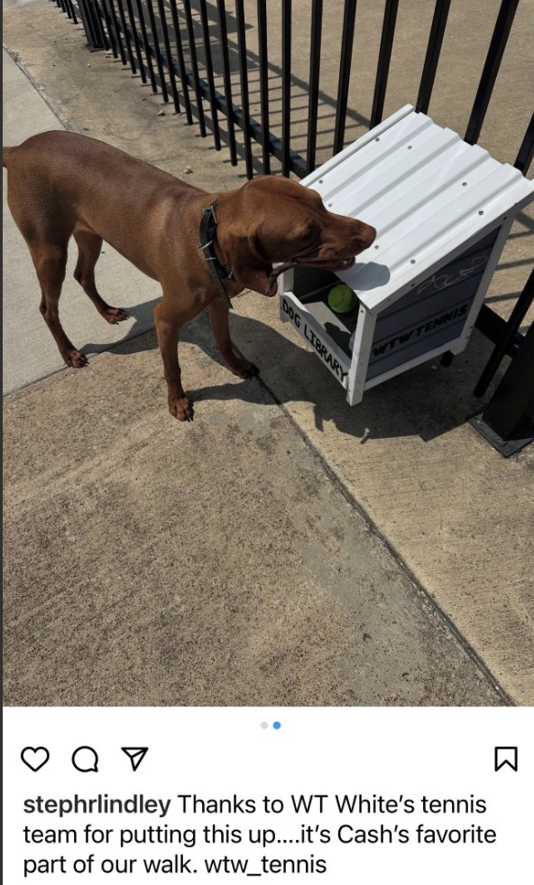 TennisWTW's tweet image. We love seeing all the happy dog photos! #doglibrary @ClubWtw @WTWLonghorns @WTWHighSchool