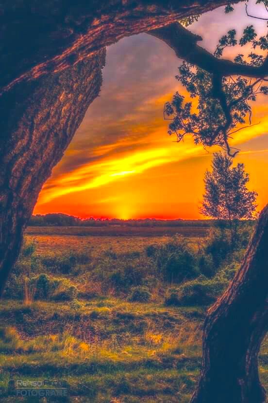 “Shine from within ..”

Good Evening .. Good Night ..🌙
