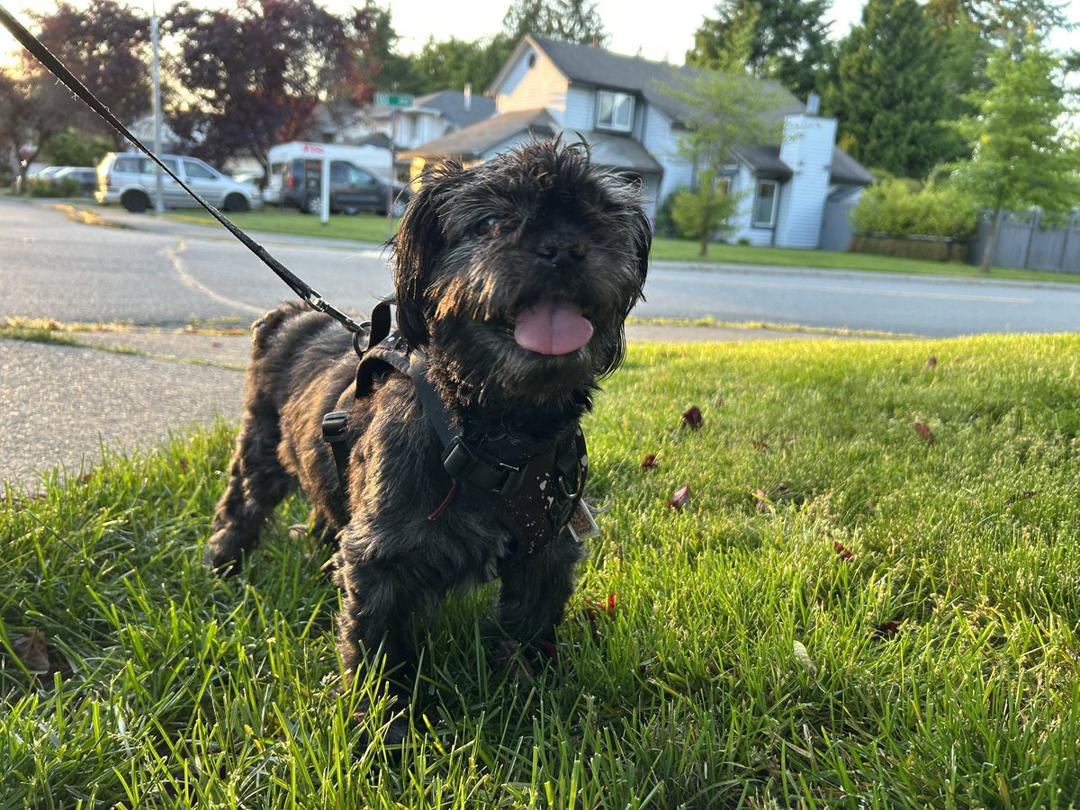 Grrr 😡 

Joking lol!! 😸😸 I love you, can I have a treat?