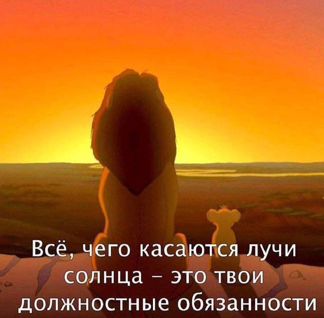 Иван Цветов (@ivc9091) on Twitter photo 
