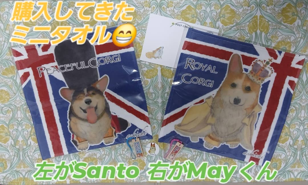 KtmtMaySanto's tweet photo. @askichi_hawaii さんの個展 #笑う門にはコギ来たる に行ってきました😁
(とうちゃん 仕事のため、ママさん単独参戦です😁)
可愛いミニタオルを購入してきました😁
ありがとうございます😆💕✨
#askichi さん あと1日顔晴ってくださいネ😉👍🎶 https://t.co/THqO8eFmrK