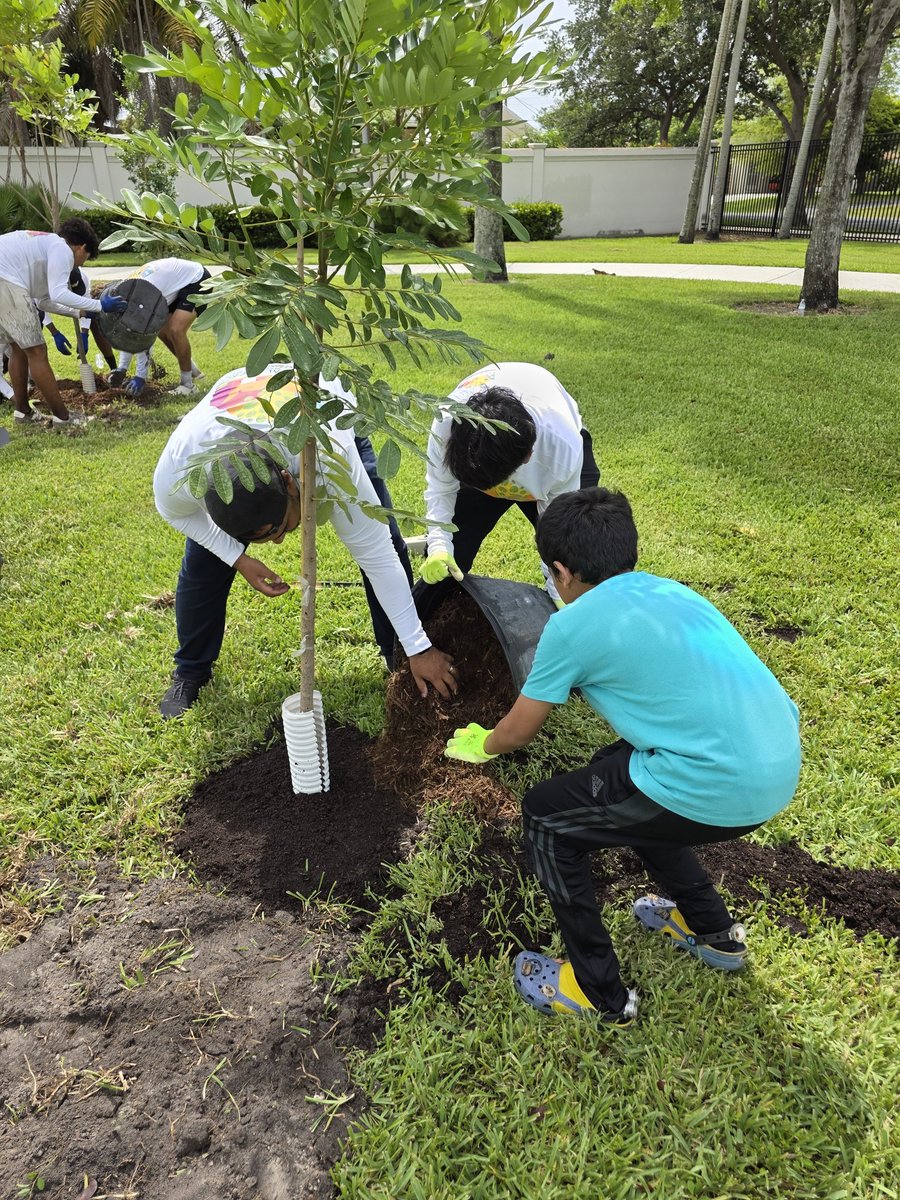 Our youth helped plant 70 trees during a planting at Ingalls Park in Hallandale Beach, FL.

#WhatMuslimsDo
#MKAMiami