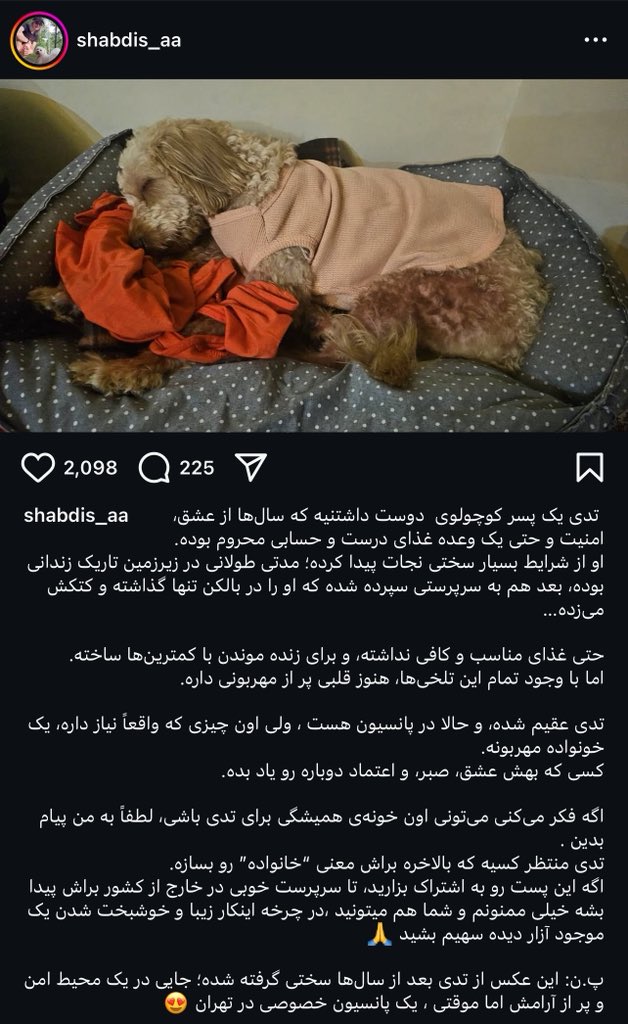 شاید کسی خواست ..❤️ 
دریغ نکنید #ریتویت هاتون رو