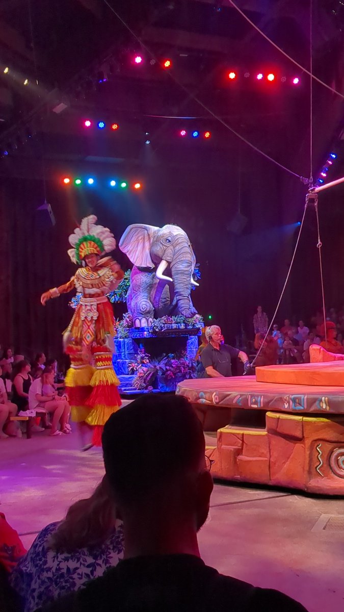 That Lion King show at Magic Kingdom is the best thing I've ever seen. Absolutely unreal 🦁🐗🦒🐘