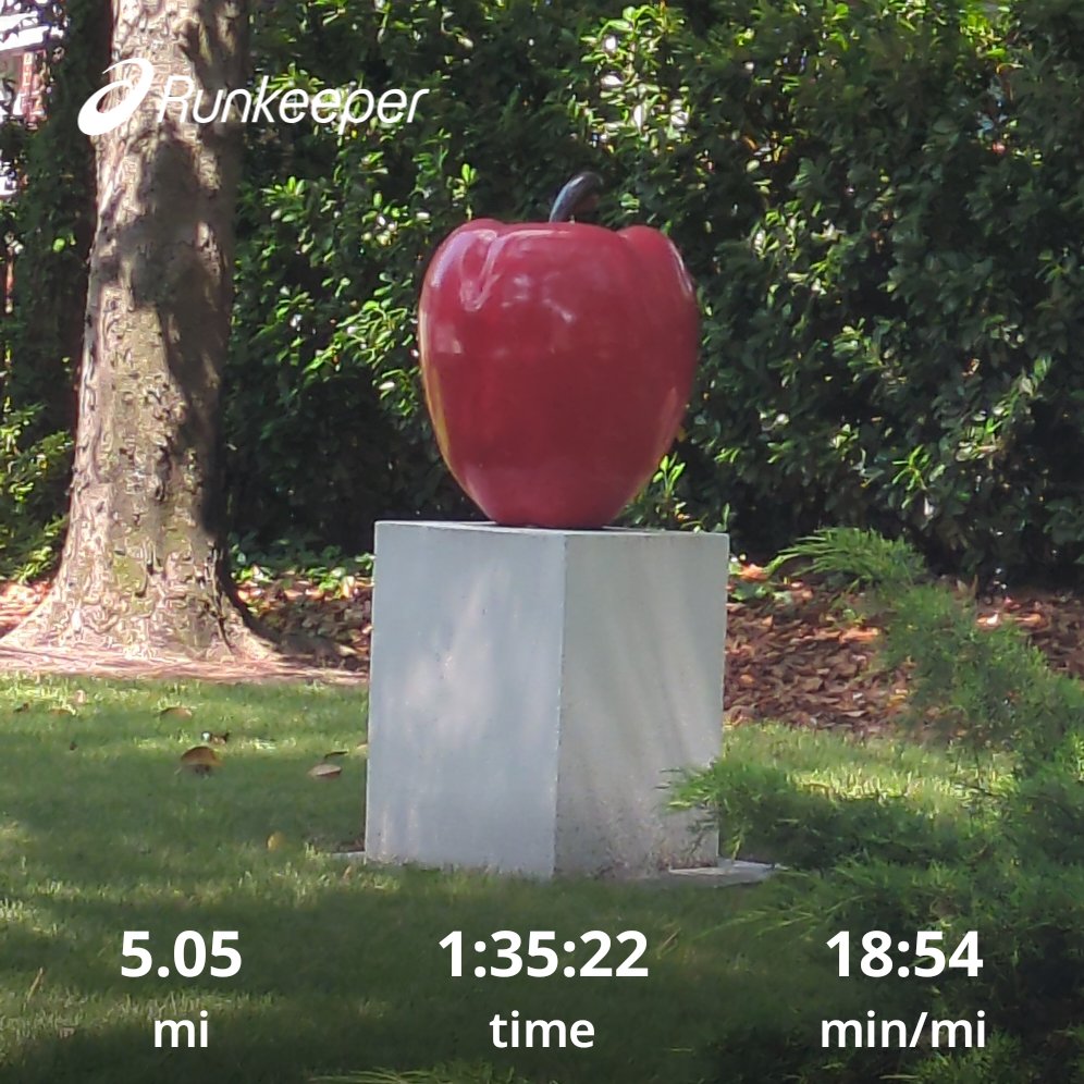 Semper_Mello's tweet image. Norfolk has some very beautiful (expensive) neighborhoods if you know where to look. runkeeper.com/cardio/2f81e3f…