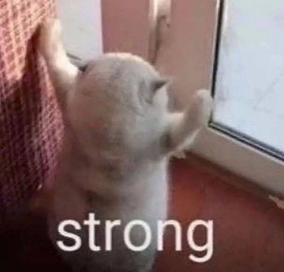 Starfire tweet media