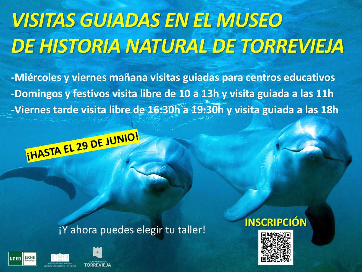 🚶‍♀️🚶🎉✝️👨‍👩‍👧‍👦🏦🪡🧵🧶💉⚗️🌲🌿🪴💦🦅👧🧒🖼🍔🎼🎸🎷🎺🥁🎤🎧🎭Ahí algunos #actosCulturales y de #ocio de mañana en la #VegaBaja.
📖Clic ahí👉todoculturavegabaja.es
<a href="/Guardamar_Ayto/">Guardamar Ayto</a> <a href="/GuardamarTurism/">Guardamar Turisme</a> <a href="/AytoOrihuela/">AytoOrihuela</a> <a href="/TorreviejaAyto/">Ayuntamiento de Torrevieja</a> #Guardamar #Orihuela #Desamparados #LaMatanza #Torrevieja