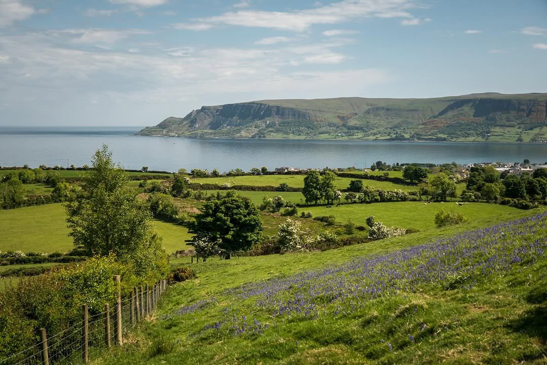 Love Ballymena (@loveballymena) on Twitter photo Just another one of the beautiful views in the Glens of Antrim.
📍 Cushendall, County Antrim
📸 John Fitz Photography • <a href="/johndfitz/">John Fitzsimmons</a> Just another one of the beautiful views in the Glens of Antrim.
📍 Cushendall, County Antrim
📸 John Fitz Photography • <a href="/johndfitz/">John Fitzsimmons</a>