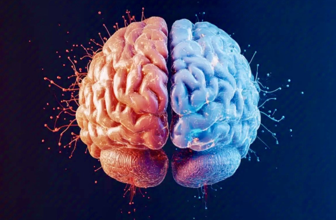 Eveline Ruehlin (@enilev) on Twitter photo 🧠 Link Found Between Autism and Early-Onset Parkinson’s Risk
by <a href="/NeuroscienceNew/">Neuroscience News</a> source: <a href="/karolinskainst/">Karolinska Institutet</a>
#Autism #Parkinsons #PD #ASD #Genetics #Neurology #Neuroscience
👉neurosciencenews.com/autism-parkins…
<a href="/Khulood_Almani/">Dr. Khulood Almani | د.خلود المانع</a> <a href="/HaroldSinnott/">Harold Sinnott 📲</a> <a href="/Shi4Tech/">💙 #TechForGood 💙</a> <a href="/EvanKirstel/">Evan Kirstel #B2B #TechFluencer</a> <a href="/ahier/">Brian Ahier</a> <a href="/mvollmer1/">Dr. Marcell Vollmer 🇺🇦 #StaySafe #CES2025</a> 🧠 Link Found Between Autism and Early-Onset Parkinson’s Risk
by <a href="/NeuroscienceNew/">Neuroscience News</a> source: <a href="/karolinskainst/">Karolinska Institutet</a>
#Autism #Parkinsons #PD #ASD #Genetics #Neurology #Neuroscience
👉neurosciencenews.com/autism-parkins…
<a href="/Khulood_Almani/">Dr. Khulood Almani | د.خلود المانع</a> <a href="/HaroldSinnott/">Harold Sinnott 📲</a> <a href="/Shi4Tech/">💙 #TechForGood 💙</a> <a href="/EvanKirstel/">Evan Kirstel #B2B #TechFluencer</a> <a href="/ahier/">Brian Ahier</a> <a href="/mvollmer1/">Dr. Marcell Vollmer 🇺🇦 #StaySafe #CES2025</a>