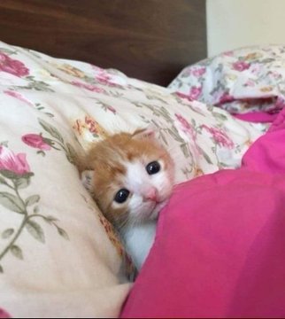 Everyone's watching Morrissey 
And I'm like this