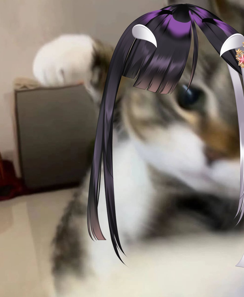 1 like = 1 michi golpe👊