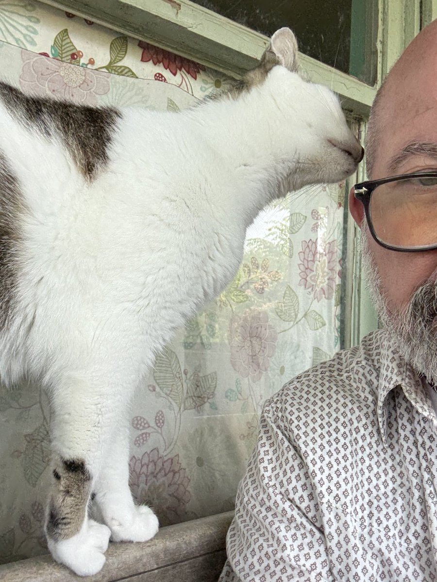 Shannon Minter tweet media