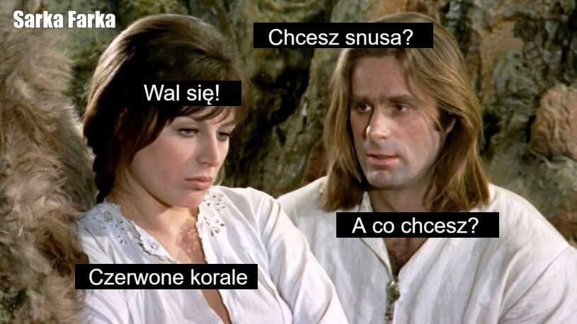 Pustelnik - The official profile of Maciej Kowacz (@pustelnik5) on Twitter photo 