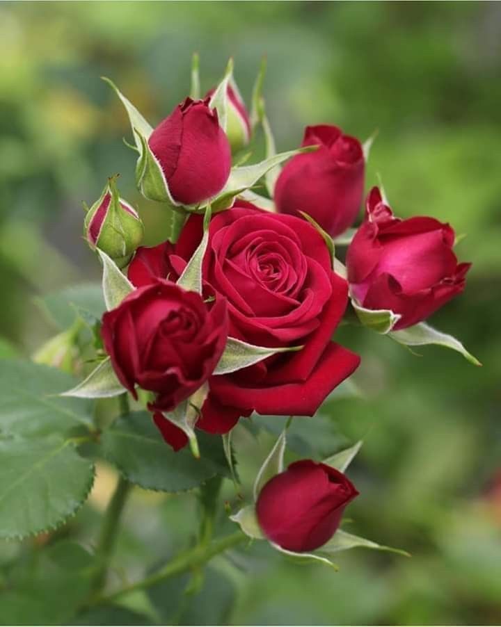 <a href="/christi19671967/">SummerRose 🌹Christine</a> Good morning too