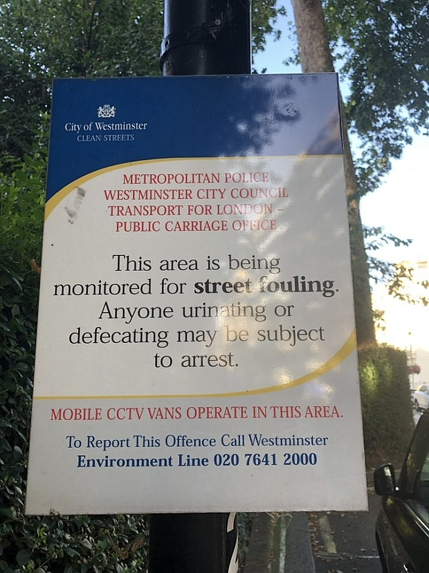 Punkbudgie_'s tweet photo. Before "Diversity"
We could
Get a GP/Dentist appointment
Get a house, now people are renting out garden sheds to live in
We didn't have to
Fear walking down the street/being attacked
Being overlooked for jobs for being white
Put up anti defecation street signs
#UtterFailure https://t.co/LbBh1V2y6h