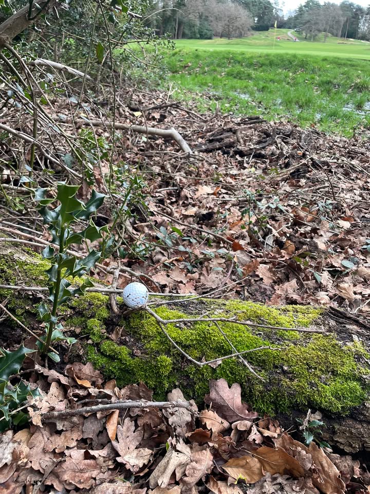 Golfbreaks ⛳️ tweet media