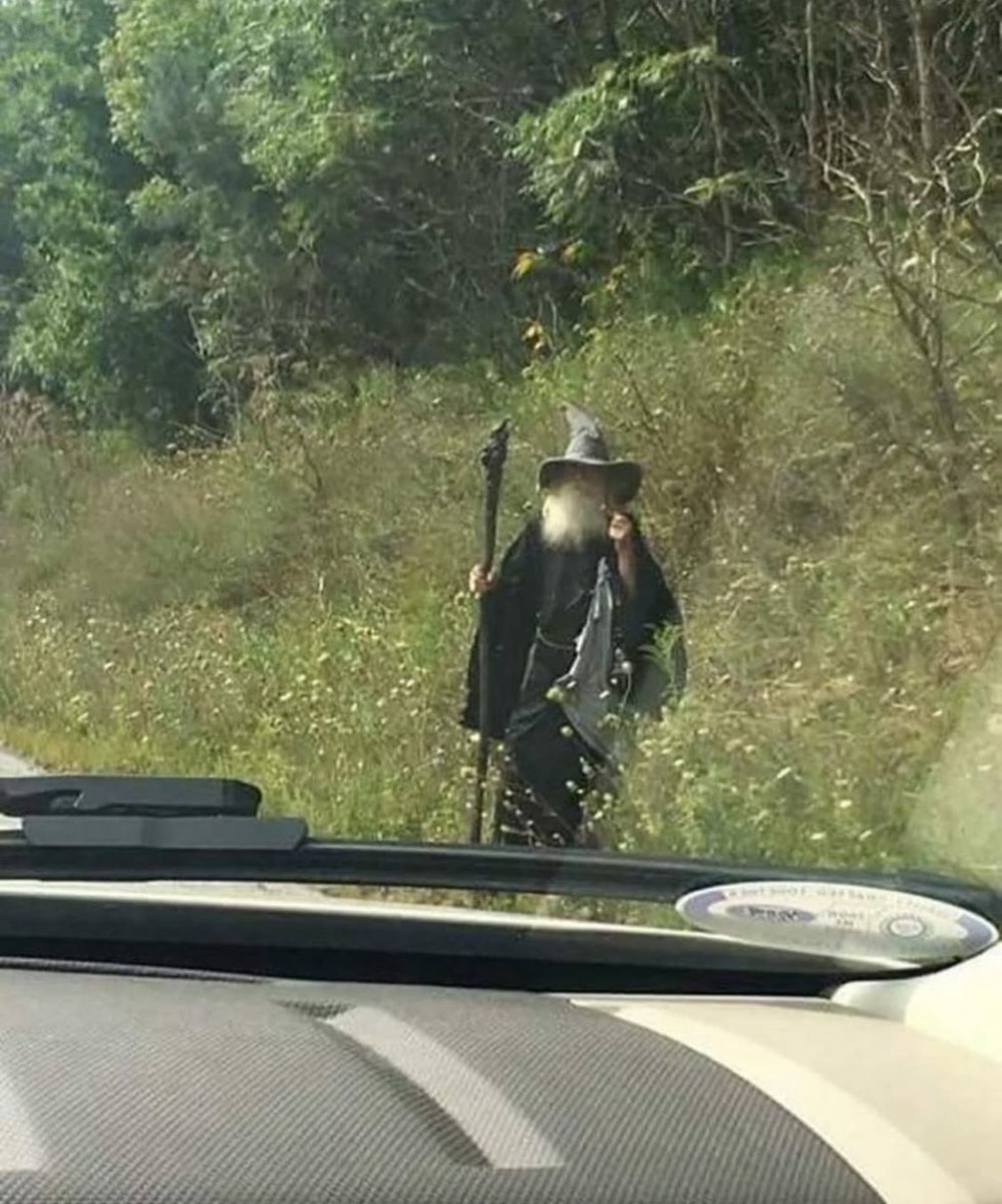 stop the car. stop the fucking car