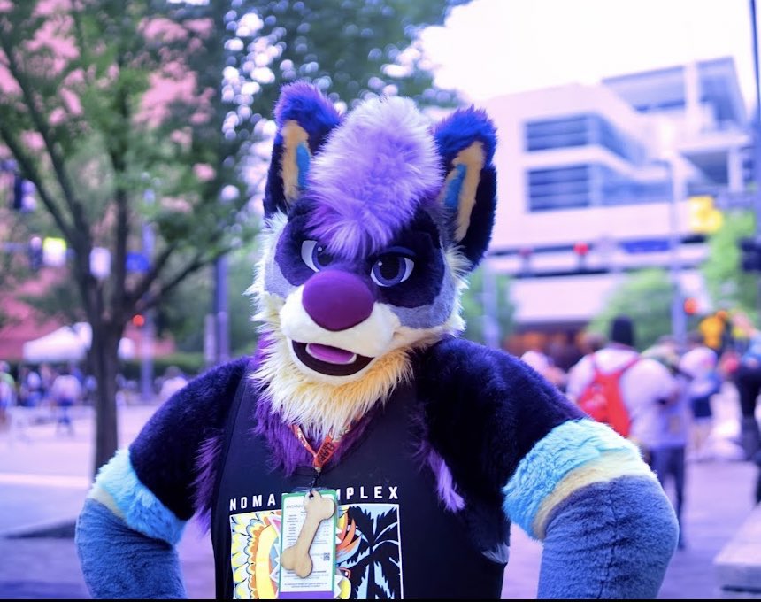 Thinking I will take my BIG PURPLE DOG to AC!

SAY HEY if you see me :)!