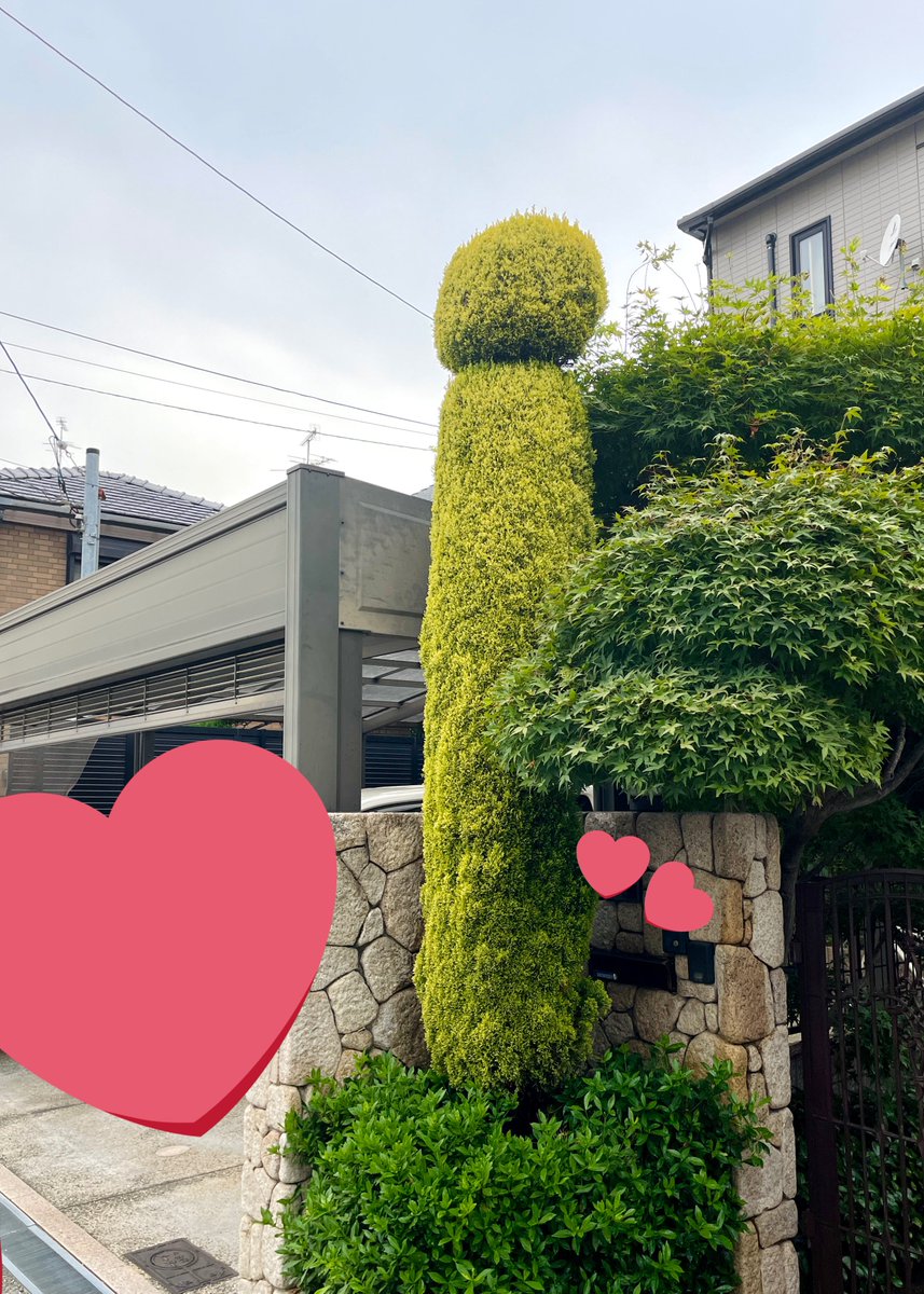 tsuyosith's tweet photo. チャイム鳴らして「チンポですか？」って伺おうか悩んでる。 https://t.co/4IyL67vKCl