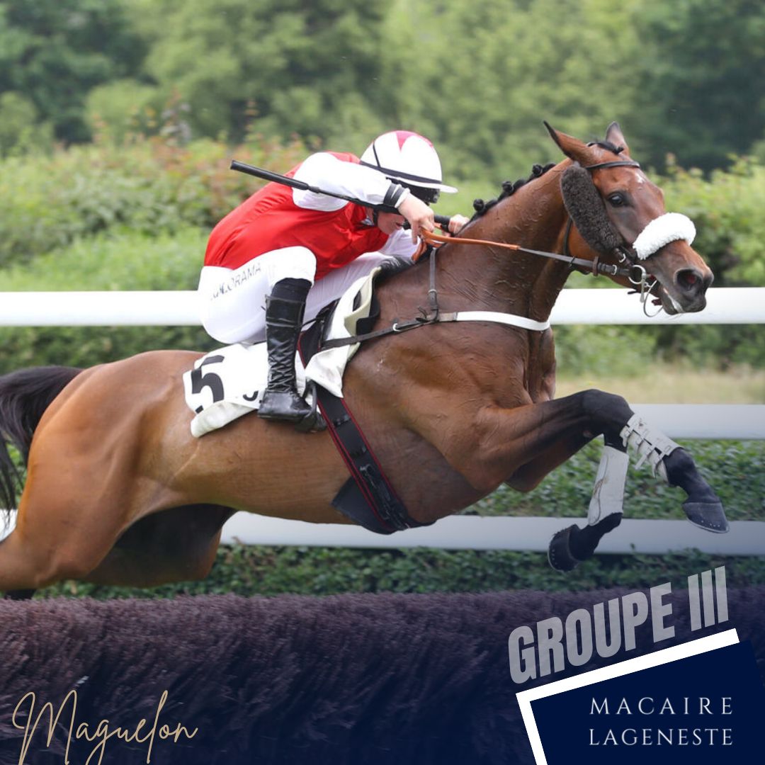 H. de Lageneste & G. Macaire (@hdl_gm_racing) on Twitter photo ๐๐ง๐ ๐ฉ๐ซ๐๐ฆ๐ข๐ฬ๐ซ๐ ๐ซ๐ฬ๐ฎ๐ฌ๐ฌ๐ข๐ ๐ฉ๐จ๐ฎ๐ซ ๐๐๐ ๐ฎ๐๐ฅ๐จ๐ง ๐ฌ๐ฎ๐ซ ๐ฅ๐ ๐๐ฎ๐ญ๐ญ๐ ๐๐จ๐ซ๐ญ๐๐ฆ๐๐ซ๐ญ
Associรฉ ร <a href="/KDubourg/">Kilian Dubourg</a> , ๐ ๐ฎ๐ด๐๐ฒ๐น๐ผ๐ป (๐๐ฐ ๐๐ฎ๐ฝ๐ด๐ฎ๐ฟ๐ฑ๐ฒ) s'impose dans le Prix La Perichole (๐๐ฉ๐๐๐ฅ๐ก๐-๐พ๐๐๐จ๐, ๐๐.3).
#ecuriemacairelageneste ๐๐ง๐ ๐ฉ๐ซ๐๐ฆ๐ข๐ฬ๐ซ๐ ๐ซ๐ฬ๐ฎ๐ฌ๐ฌ๐ข๐ ๐ฉ๐จ๐ฎ๐ซ ๐๐๐ ๐ฎ๐๐ฅ๐จ๐ง ๐ฌ๐ฎ๐ซ ๐ฅ๐ ๐๐ฎ๐ญ๐ญ๐ ๐๐จ๐ซ๐ญ๐๐ฆ๐๐ซ๐ญ
Associรฉ ร <a href="/KDubourg/">Kilian Dubourg</a> , ๐ ๐ฎ๐ด๐๐ฒ๐น๐ผ๐ป (๐๐ฐ ๐๐ฎ๐ฝ๐ด๐ฎ๐ฟ๐ฑ๐ฒ) s'impose dans le Prix La Perichole (๐๐ฉ๐๐๐ฅ๐ก๐-๐พ๐๐๐จ๐, ๐๐.3).
#ecuriemacairelageneste