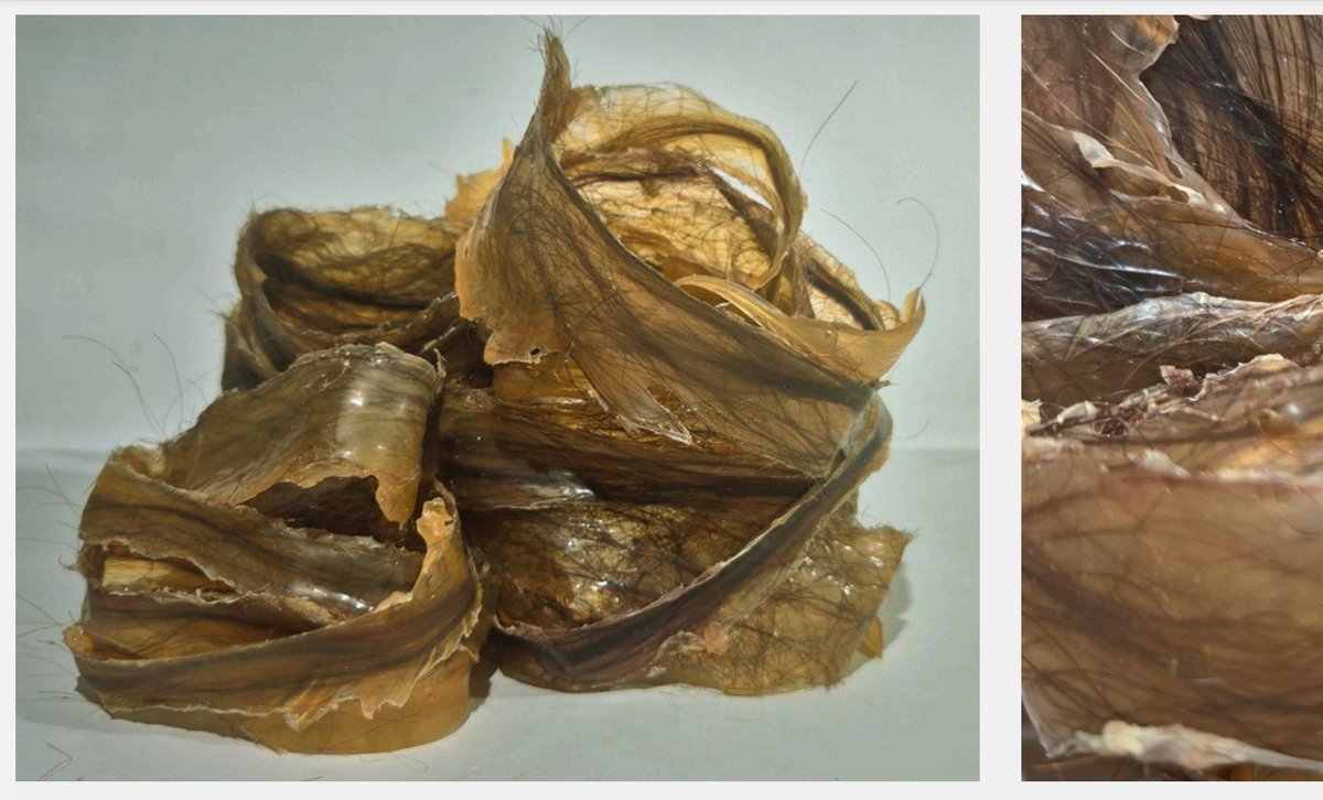 CpesRosaparks's tweet image. BOURGEOT Élodie 
(étudiante CPES CAAP Lycée Rosa Parks, promo 2024-2025)
La matière, le corps dans un rapport viscéral entre intériorité et espace sensible où se tissent des liens qui remontent aux origines séculaires.
.
.
.
#CPES #CAAP #CPESCAAP #artsplastiques #prepaart