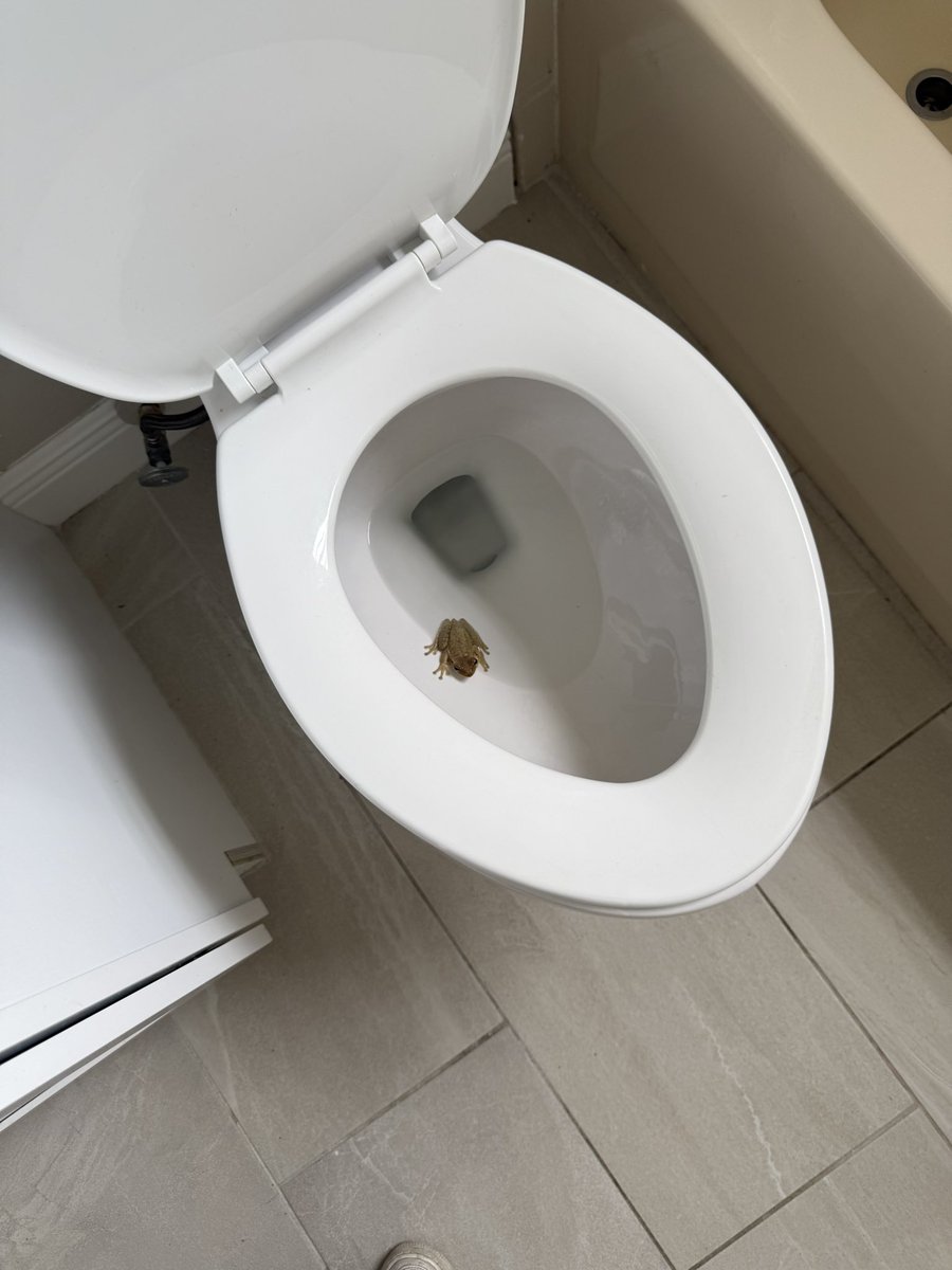 Ana 🤍 tweet media