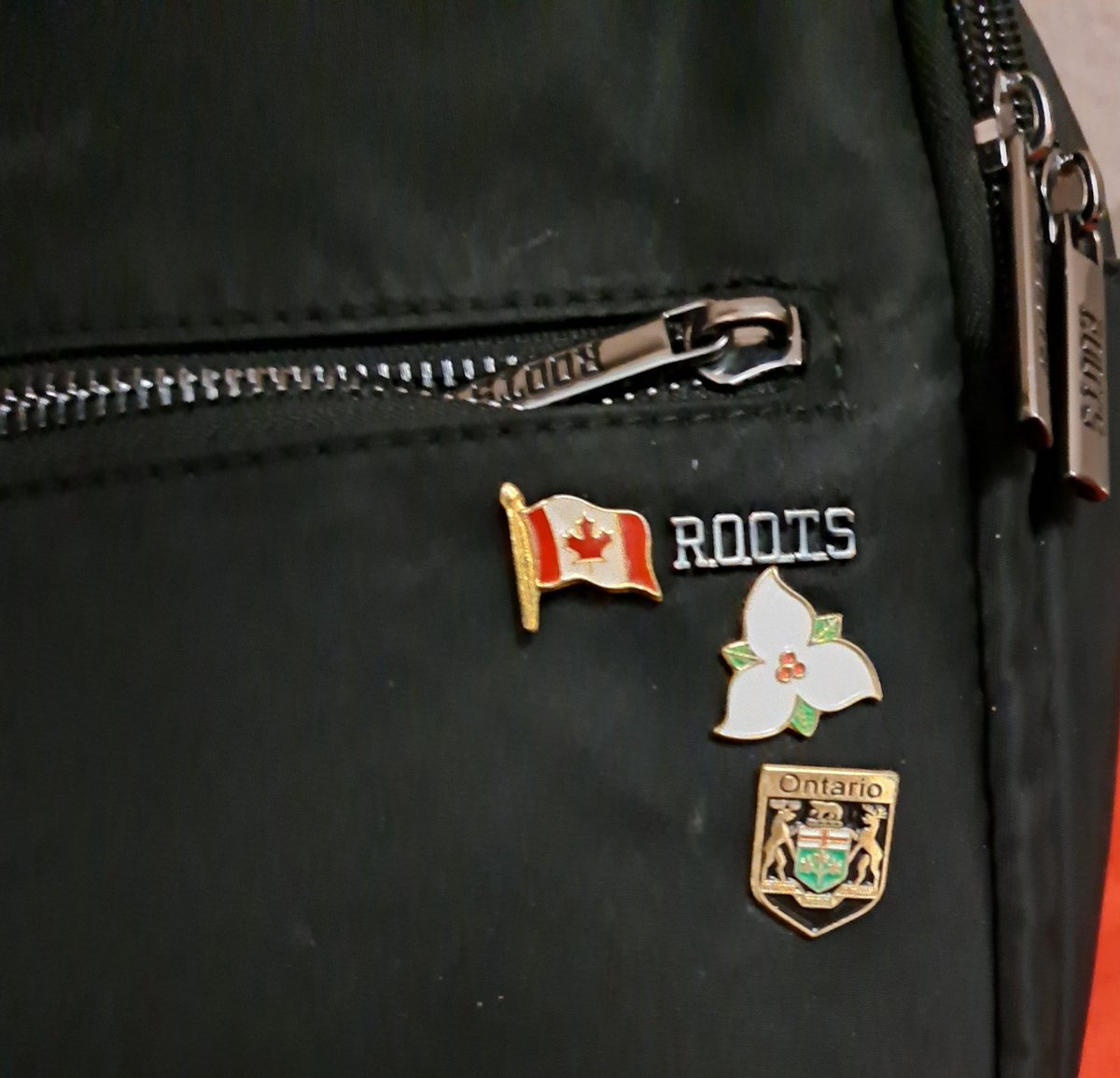 Eva G. (she/her) tweet media