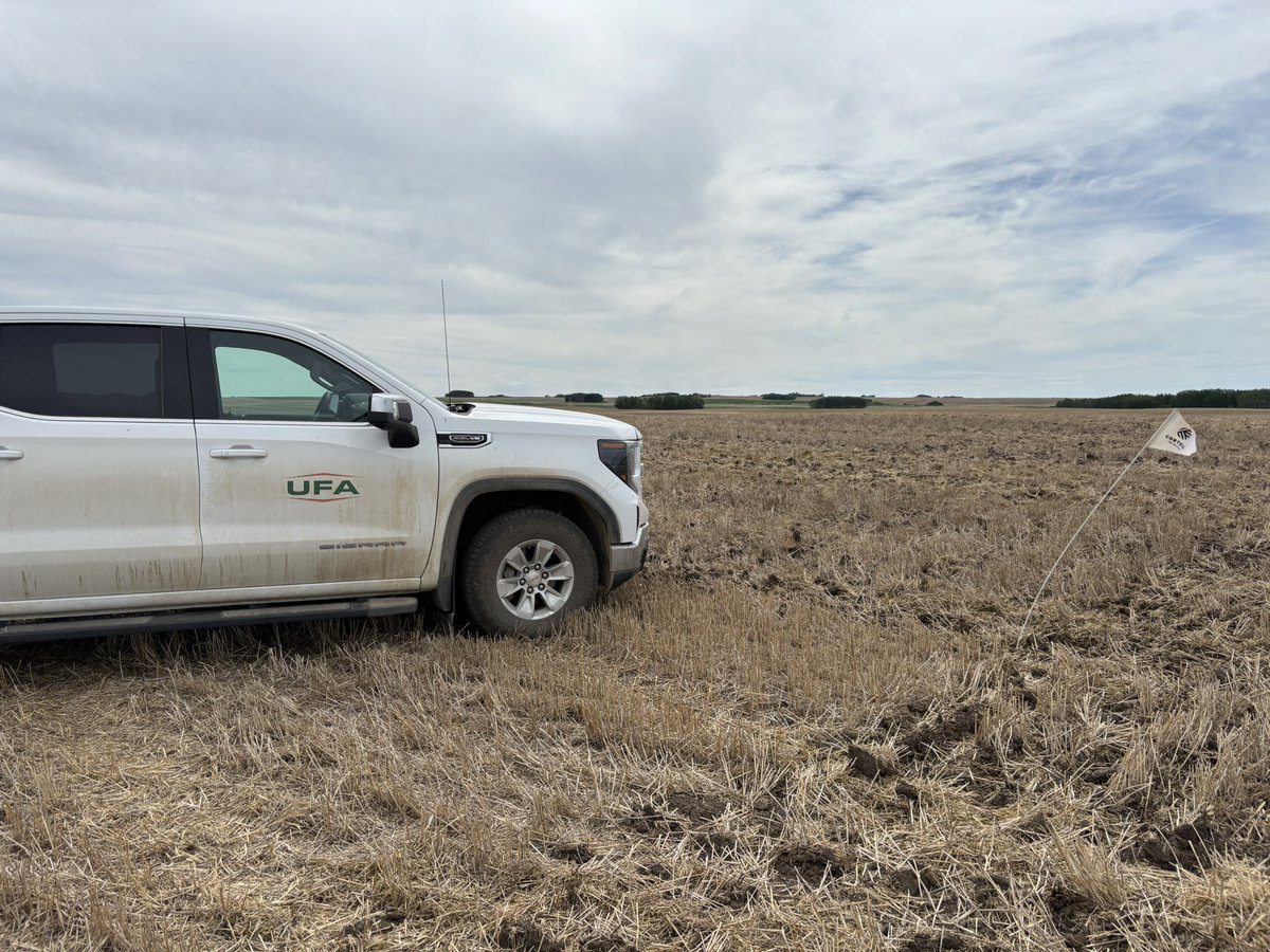 Helped a customer put in a canola trial today! Bring on the rain! Wind can go away! #plant2025 
<a href="/UFAcooperative/">UFA Co-operative</a> <a href="/BrevantSeedsCA/">Brevant seeds Canada</a>